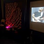 ristorante-acquapazza-evento-capodanno-2017-3